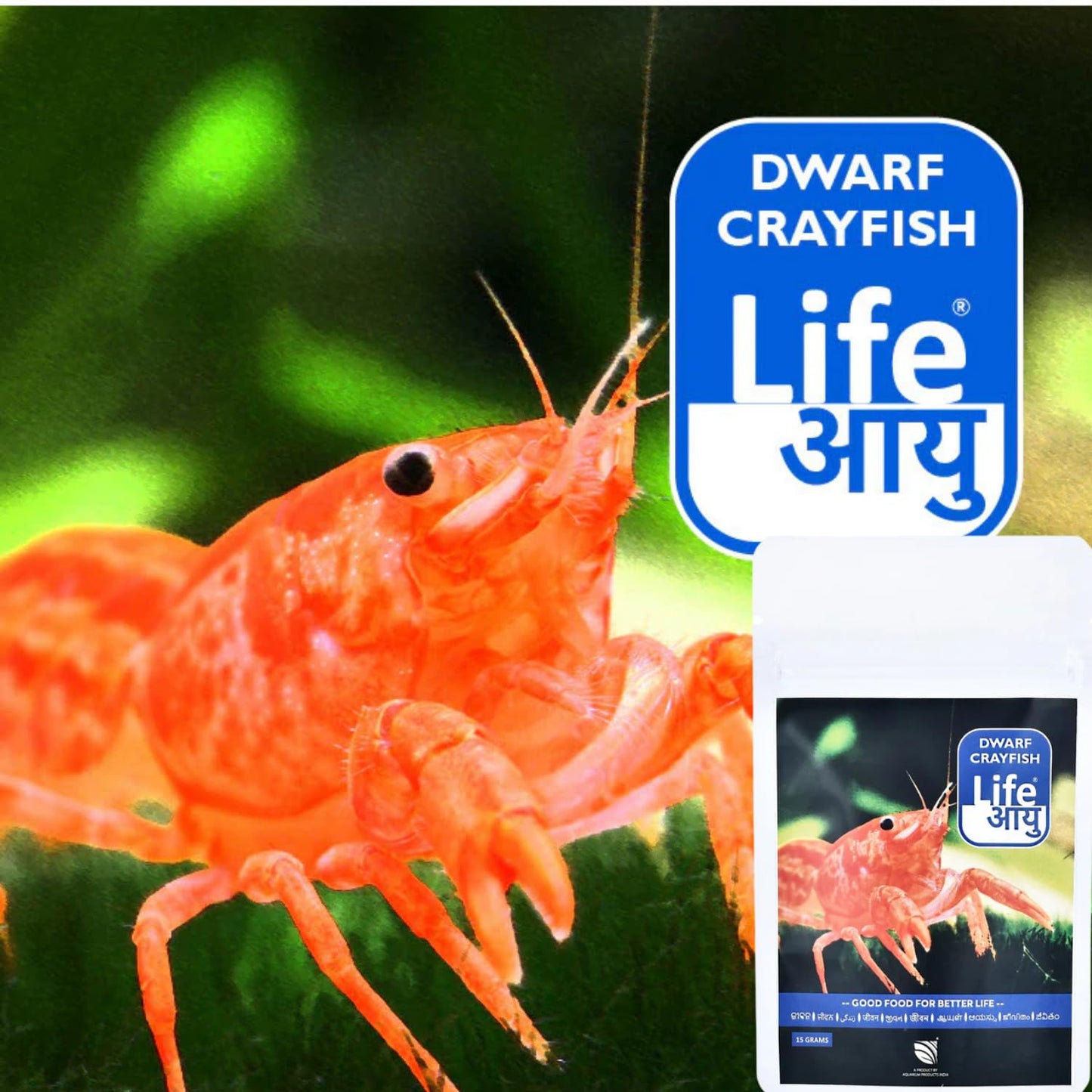 Life AAYU Dwarf Crayfish Orange Food | Breeding, Molting & Growth Booster | Handmade Ayurvedic Formula (15 GMS)