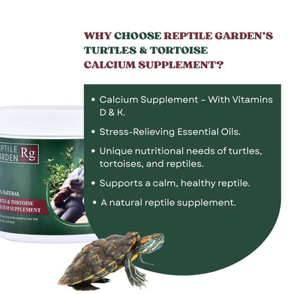 Reptile Garden Turtle & Tortoise Calcium Supplement | with Vitamins D & K | Stress-Relieving Essential Oils (100 GMS)