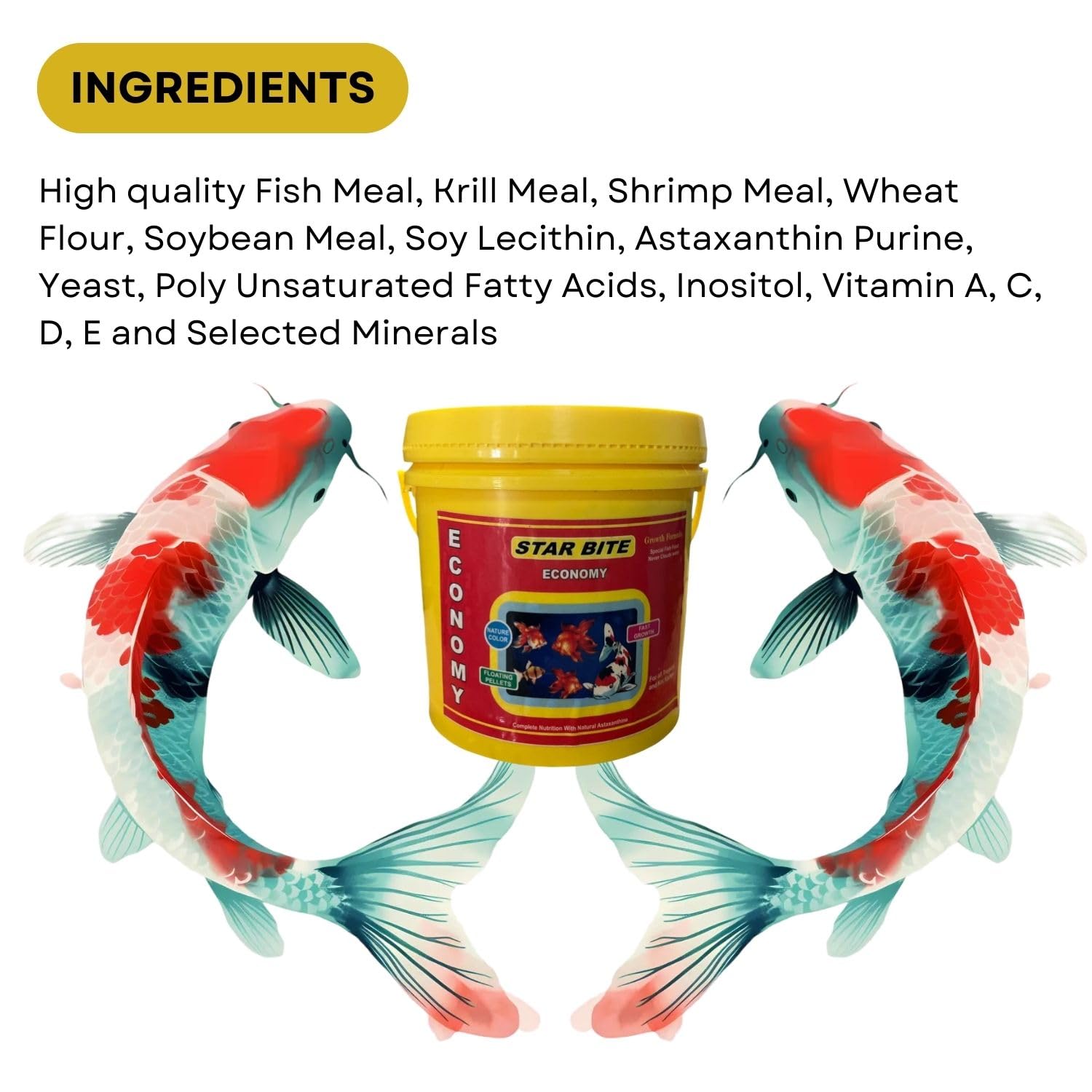 SF+ Star Bite Economy Fish Food | for All Tropical and KOI Fishes | Enhances Color Growth in Fish | Floating Pellets (500gms, Floating Pellets)
