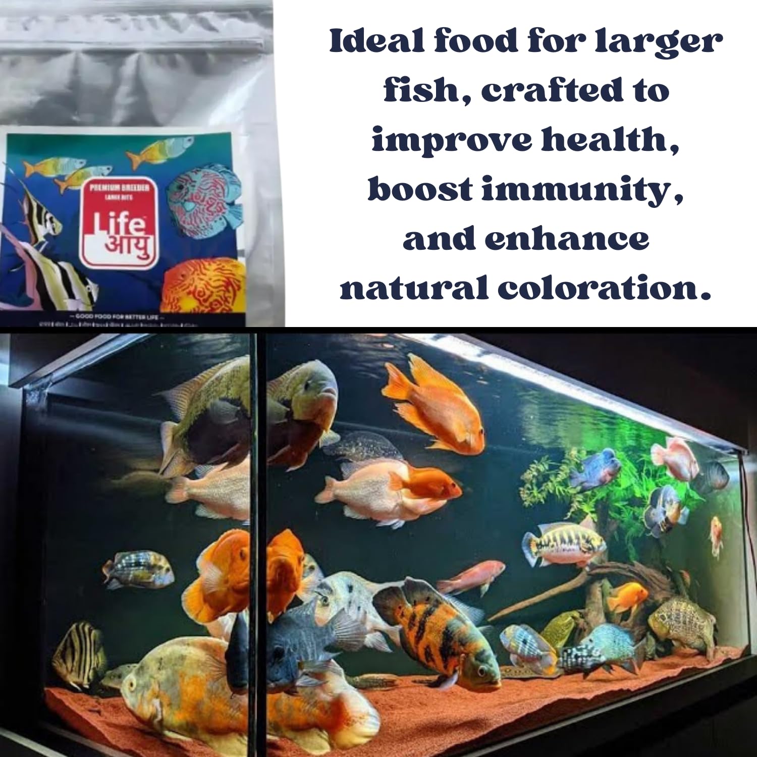 Life AAYU Premium Breeder Bits for Fish | Improve Health, Boosts Immunity, and Enhance Natural Coloration (1 KG, Large Bits)