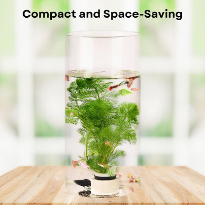 TUNAI 12-inch Cylindrical Fish Bowl for Small Fish, Plants | Optimum Fish Tank Choice for Office & Home Decor (White, Large)