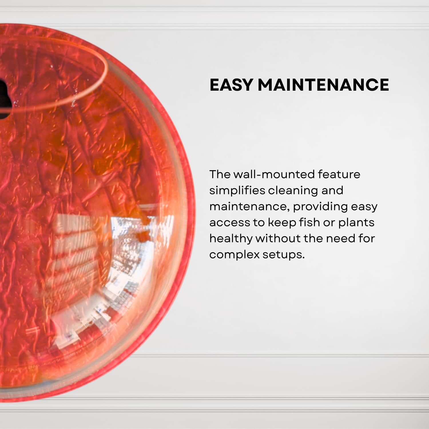 Wall Mount 9-inch Red Round Shape Fish Bowl – Without Stand | Modern Aquarium for Home, Office & Café Décor | Space Saving & Compact Design | Elegant Fish Tank & Plant Terrarium