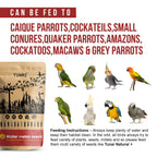Tunai Water Melon Seeds Bird Food |450g|Bird Feed for Caique Parrots, Cockateils, Small Conures, Quaker Parrot, Amazons, Cockatoos, Macaws, Grey Parrot