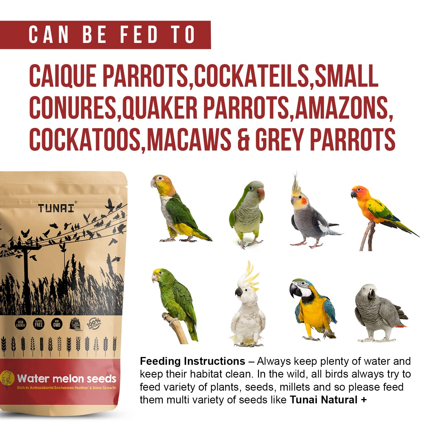 Tunai Water Melon Seeds Bird Food |450g|Bird Feed for Caique Parrots, Cockateils, Small Conures, Quaker Parrot, Amazons, Cockatoos, Macaws, Grey Parrot