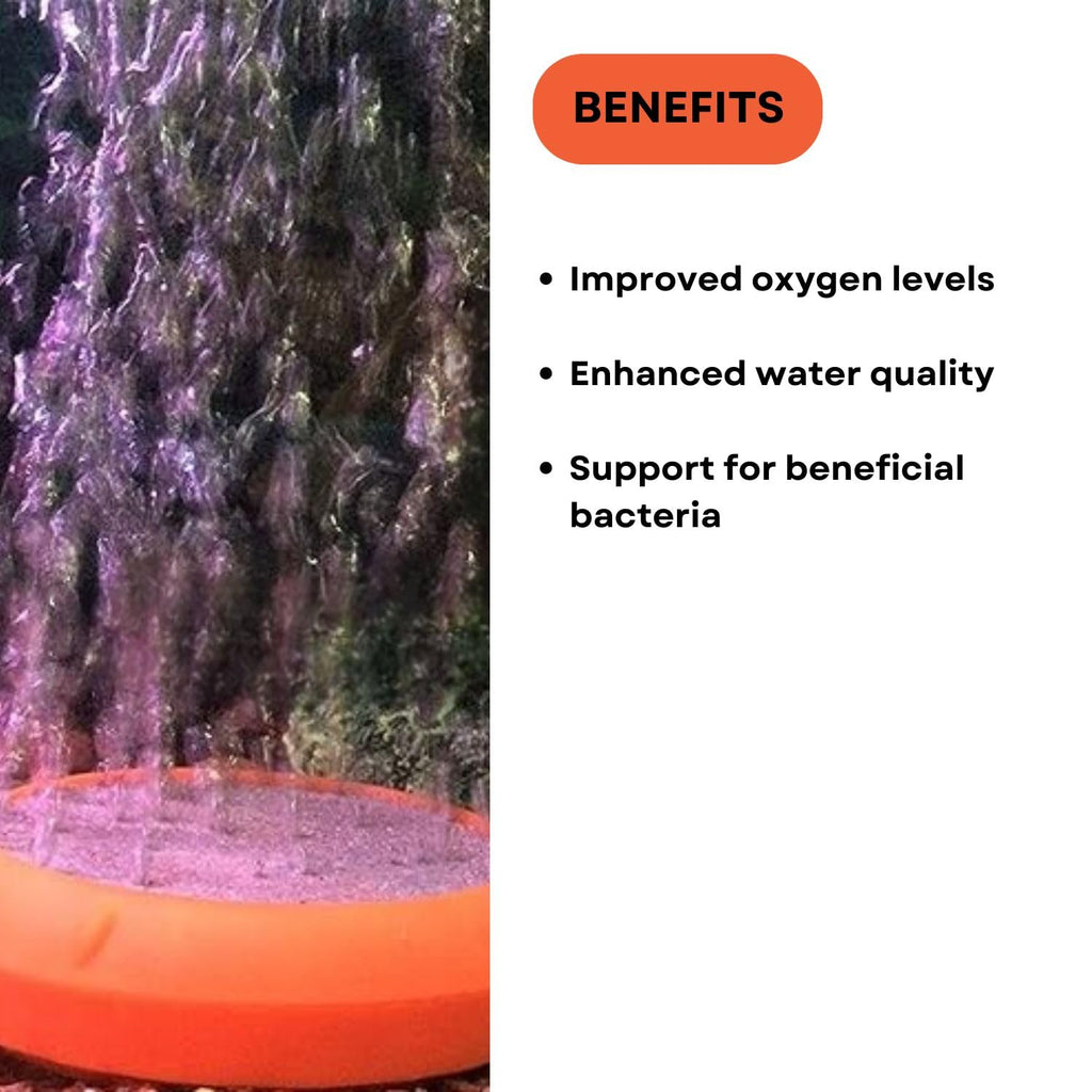 TUNAI Dophin BS-DRS Air Stone for Aquarium Fish Tank | Air Stone for Aquariums | Aerates, Decorates and Water Circulation