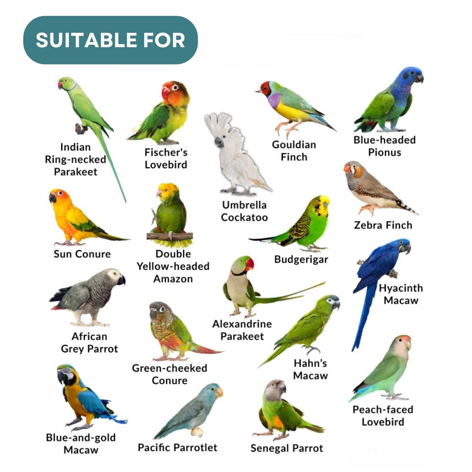 TUNAI SF+ De-Worming Food for Birds | Health Supplements | Original from Store | 100g, All Life Stages, powder