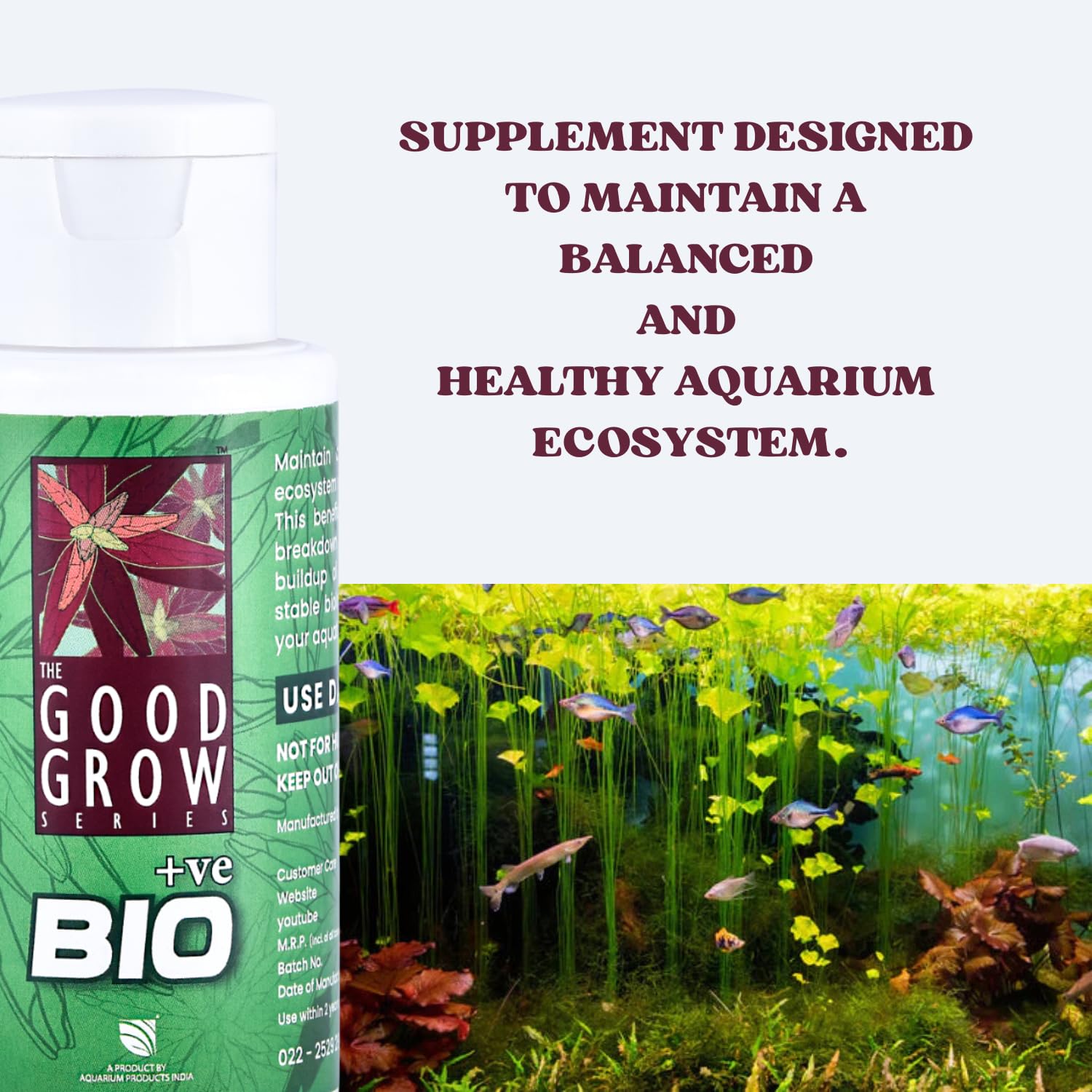 The Good Grow Series BIO +ve | Promotes Healthy Aquarium Ecosystem | Beneficial Bacteria Supplement | Maintain A Balanced and Healthy Aquarium Ecosystem (50 ml)