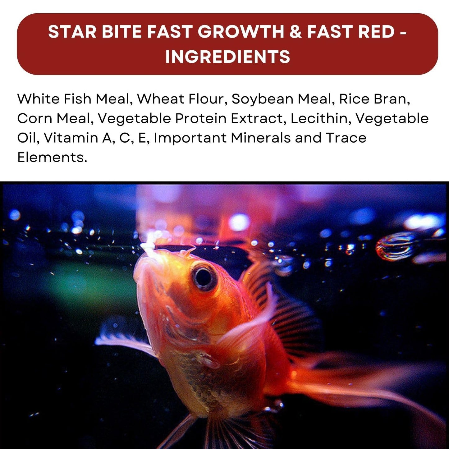 SF+ Star Bite Fast Growth + Star Bite Fast Red Fish Food | Combo Pack (60gms, Fast Growth and Fast Red)