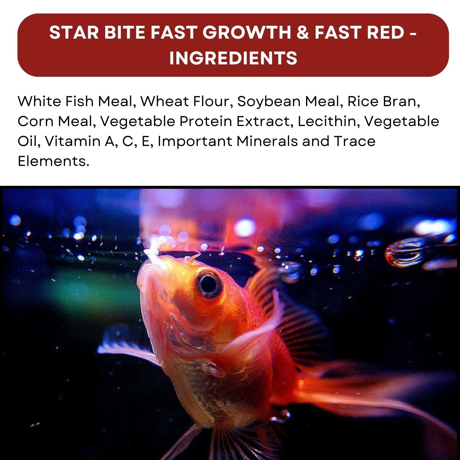 SF+ Star Bite Fast Growth + Star Bite Fast Red Fish Food | Combo Pack (100gms, Fast Growth and Fast Red)