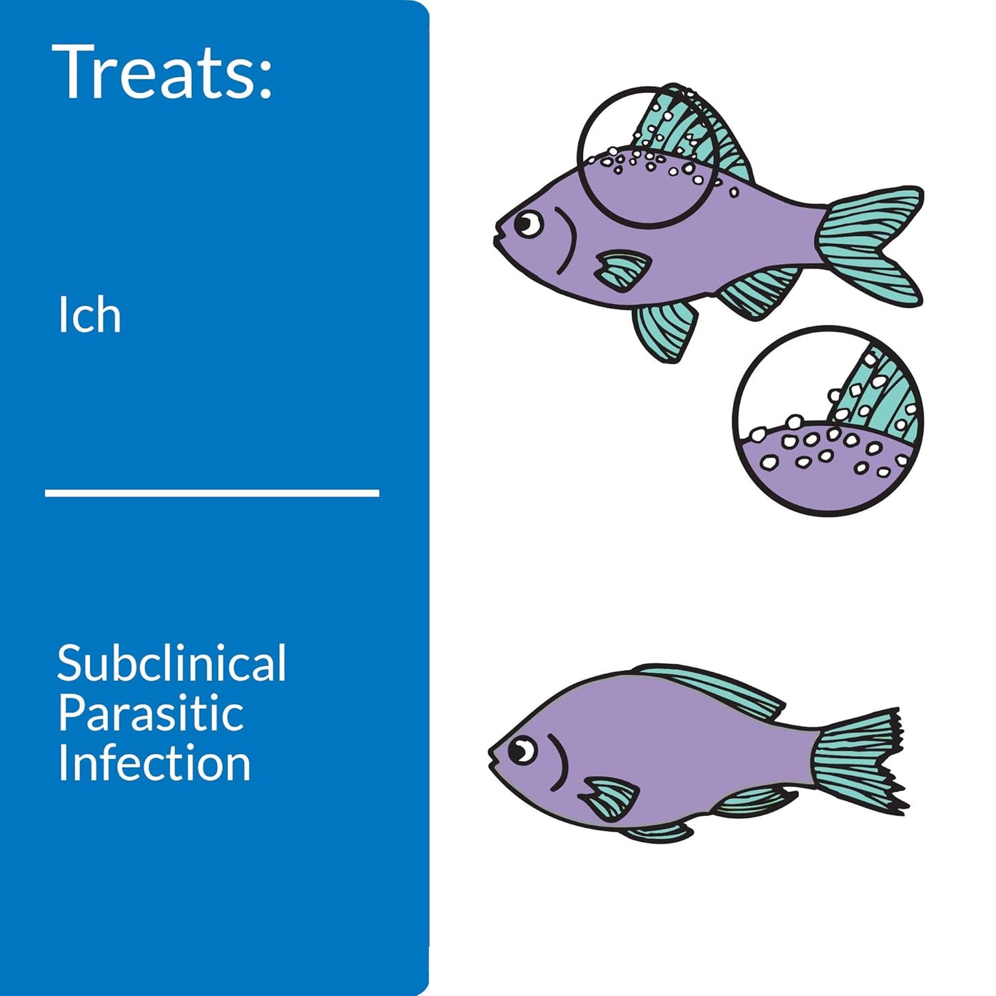 API Liquid Super Ick Cure, 150 Gram