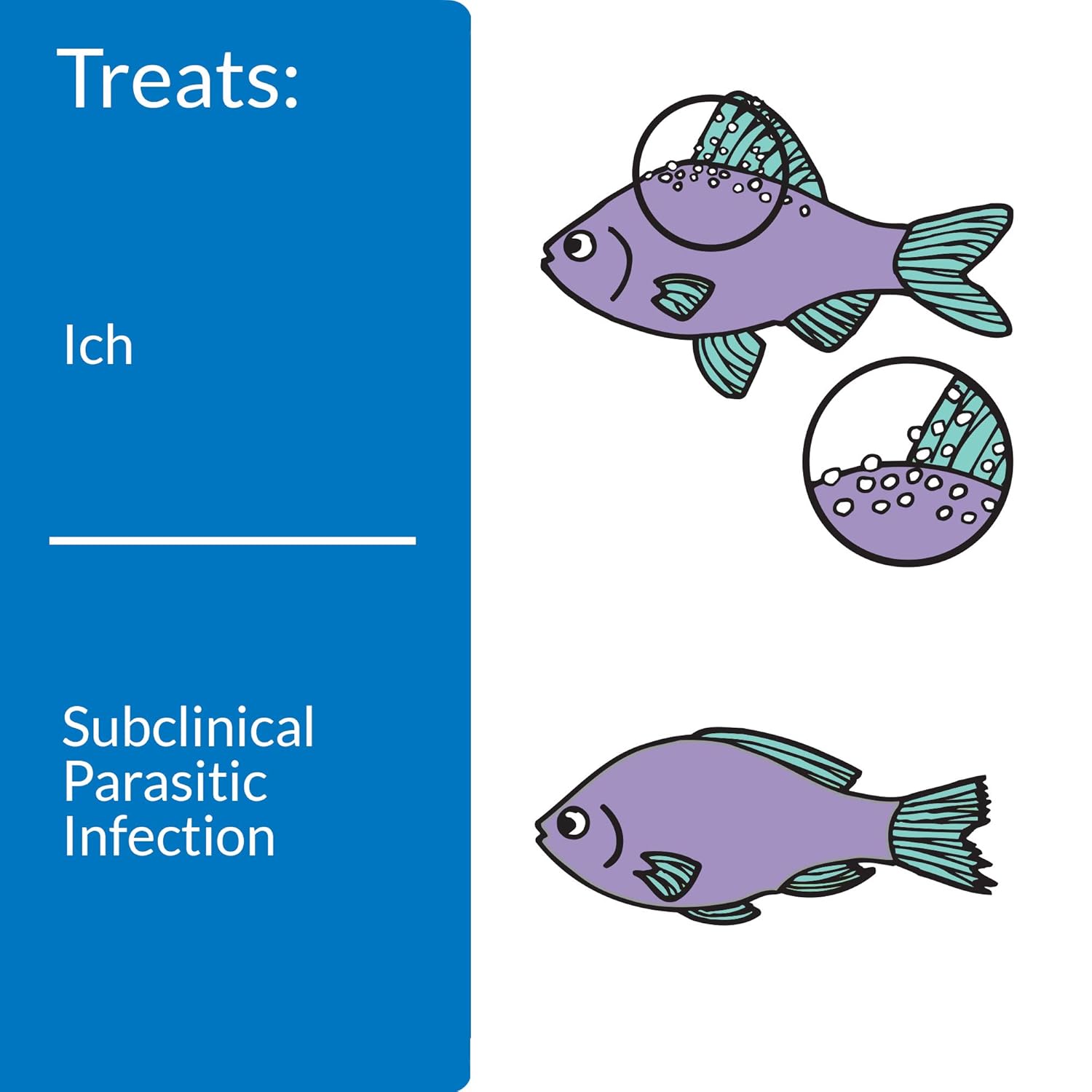 API Liquid Super Ick Cure, 150 Gram