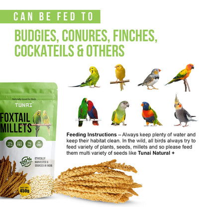 Tunai Bird Food Superior Foxtail Kangni Millets Feed for Lovebirds, Canaries, Cockatiels and Finches, 450g