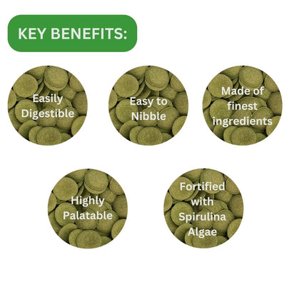 ON+ Algae Wafers Fish Food (Original from Tunai Store) | Sinking Wafers for Herbivorous Bottom Feeders (75gms, Sinking Pellets)