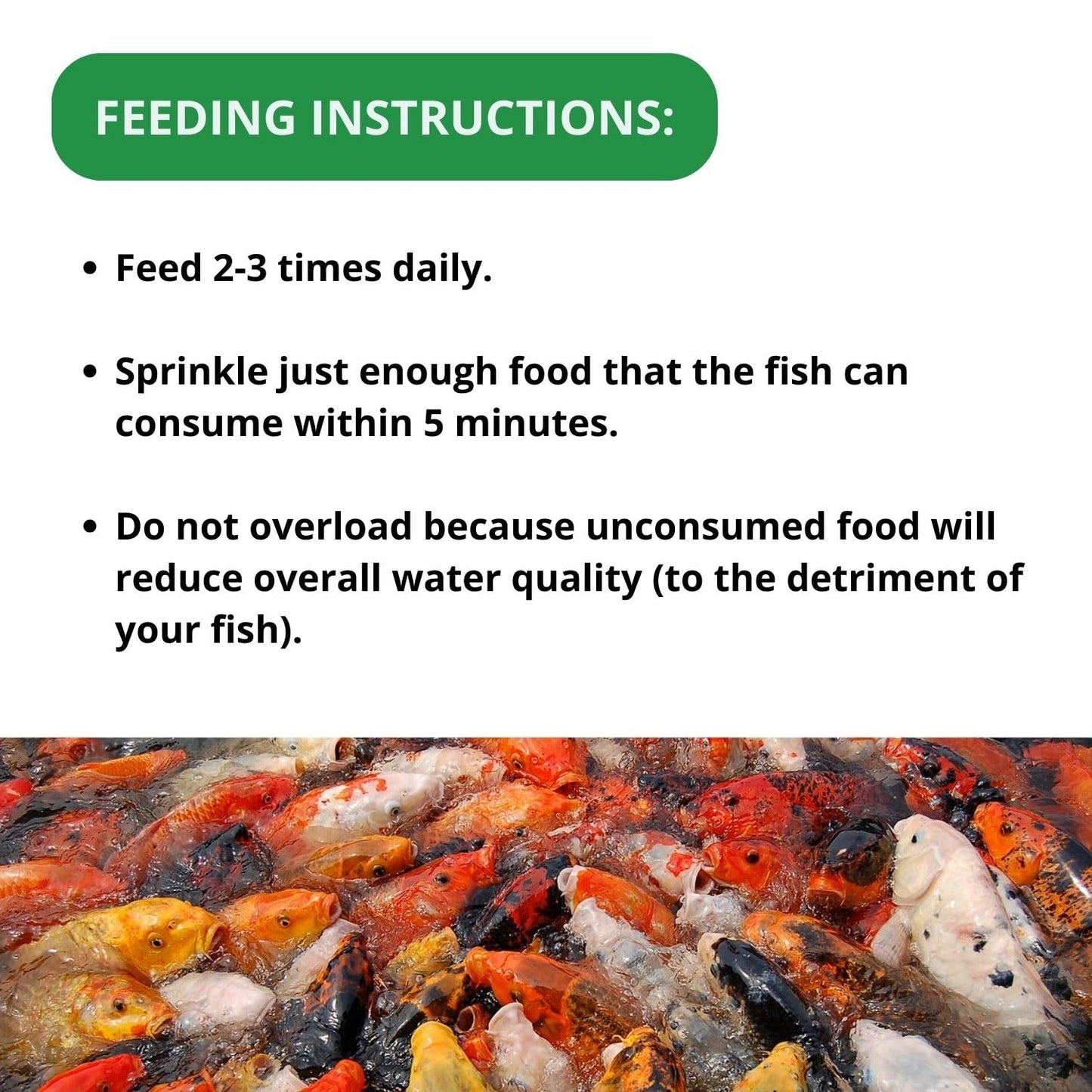 Optimum HI-PRO Staple Specialist's Koi Fish Food (Original from TUNAI Store), Medium Pellet, 1.5 Kg (1.5Kg, Medium Pellets)