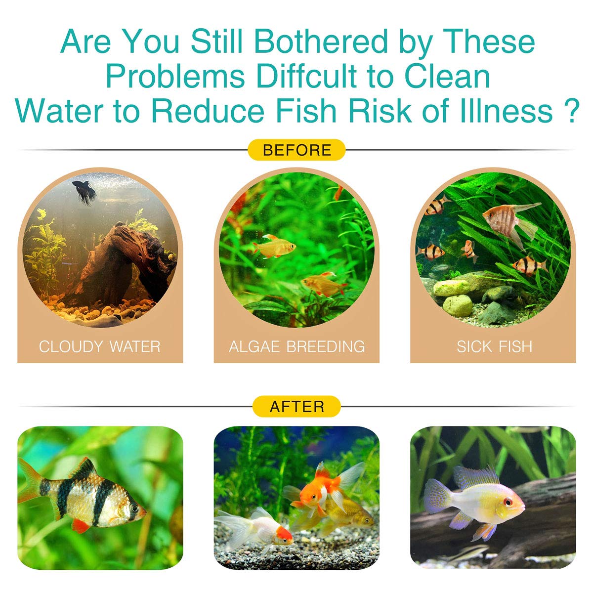 DOPHIN Ceramic Ring | 400g | Aquarium Filter Media