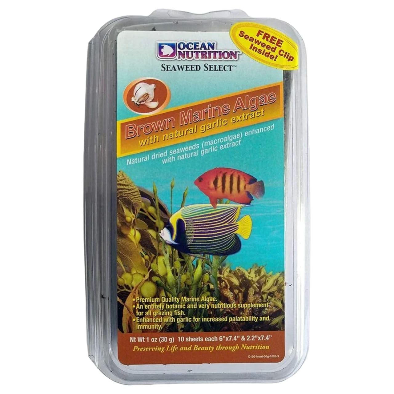 ON+ Brown Marine Algae with Natural Garlic Extract Fish Food (Original from Tunai Store) Marine Algae (30gms, Brown Marine Algae)
