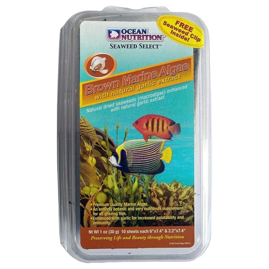 ON+ Brown Marine Algae with Natural Garlic Extract Fish Food (Original from Tunai Store) Marine Algae (30gms, Brown Marine Algae)