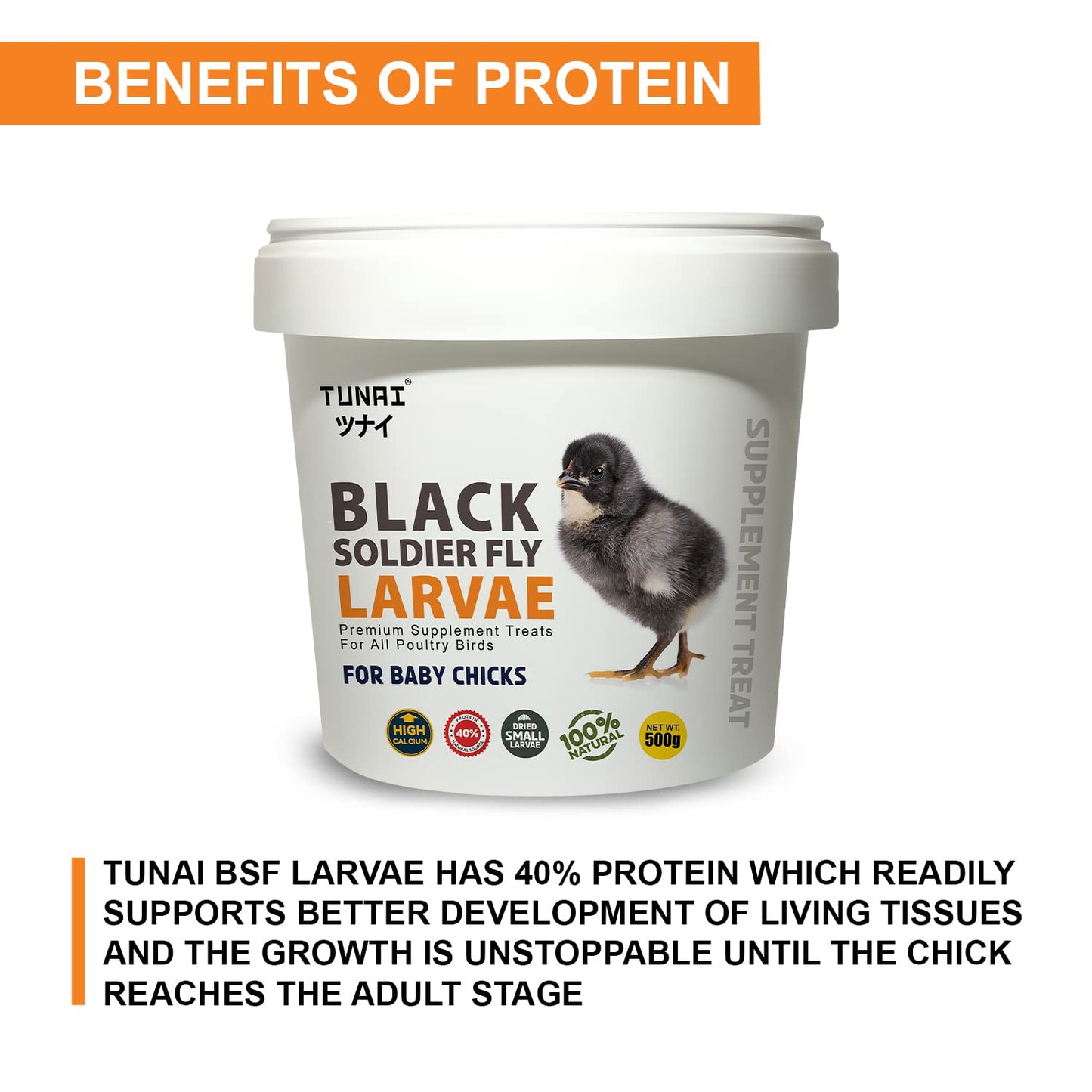 Tunai Black Soldier Fly Larvae | 500g | 60X Calcium, Fortified with 40% Protein Energy, Natural Supplement Treat for Poultry, Hen, Chicken, cockBaby Chicken