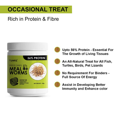 Tunai Freeze Dried Meal Worms with 56% Protein |40g| Fish Food for Arowana, Oscar, Red Parrot, Flower horn, Turtle, and Tortoise