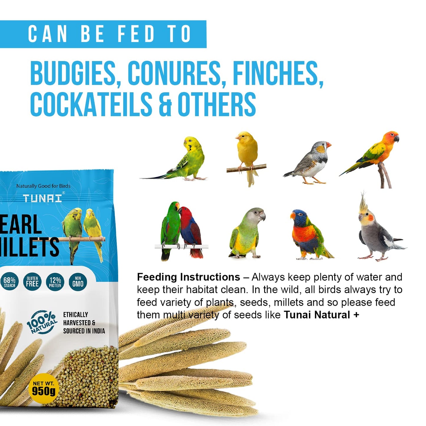 Tunai Pearl Millet Or Bajra Bird Seeds | 950g | Assist in Regulating Digestion, Easing Stress Perfect Bird Food for Budgies, Finches, Cockatiels, Conures, Love Birds, & Parrots