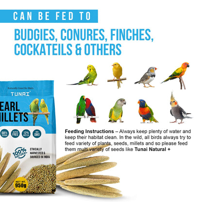 Tunai Pearl Millet Or Bajra Bird Seeds | 950g | Assist in Regulating Digestion, Easing Stress Perfect Bird Food for Budgies, Finches, Cockatiels, Conures, Love Birds, & Parrots