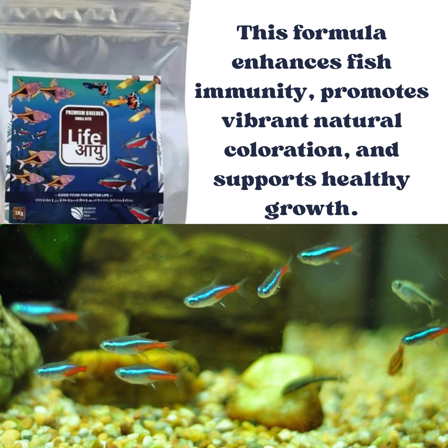 Life AAYU Premium Breeder Bits for Fish | Improve Health, Boosts Immunity, and Enhance Natural Coloration (1 KG, Small Bits)