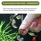 SF+ Star 14 Days Extended Holiday Fish Food, (Pack of 2) | Adequate Nourishment for Your Aquarium Fish