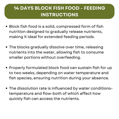 SF+ Star 14 Days Extended Holiday Fish Food, (Pack of 2) | Adequate Nourishment for Your Aquarium Fish