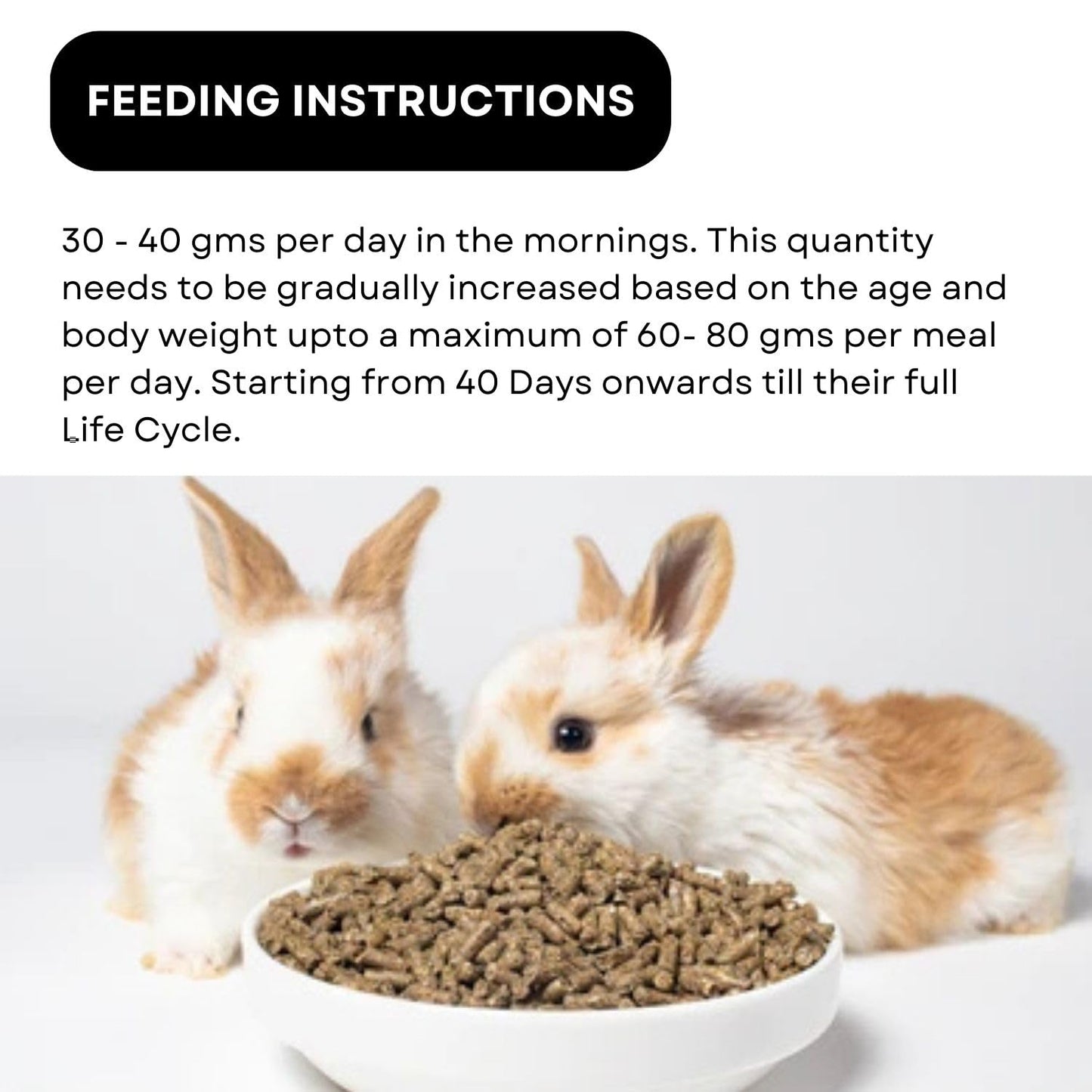 SF+ Nutri Bite Rabbit Pellets Food Food for Rabbits, Hamsters, Guinea Pig and White Rats | Daily Diet Added with Vitamins and Minerals (250gms, Pellets)