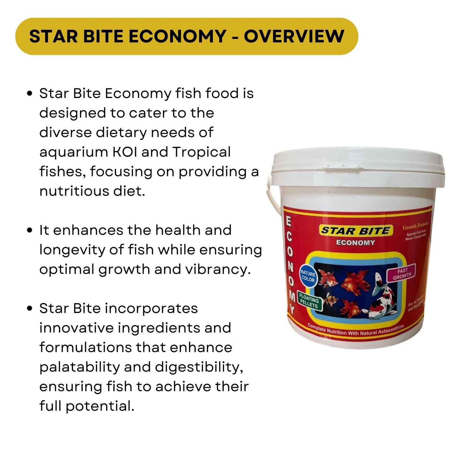 SF+ Star Bite Economy Fish Food | for All Tropical and KOI Fishes | Enhances Color Growth in Fish | Floating Pellets (1.2Kg, Floating Pellets)
