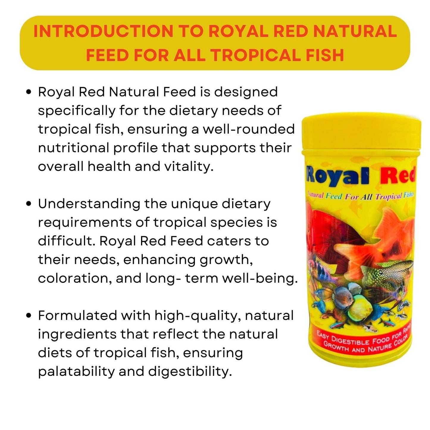 SF+ Royal Red Natural Fish Food | Natural Feed for All Tropical Fishes | Originally from TUNAI Store (100gms, Pellets)
