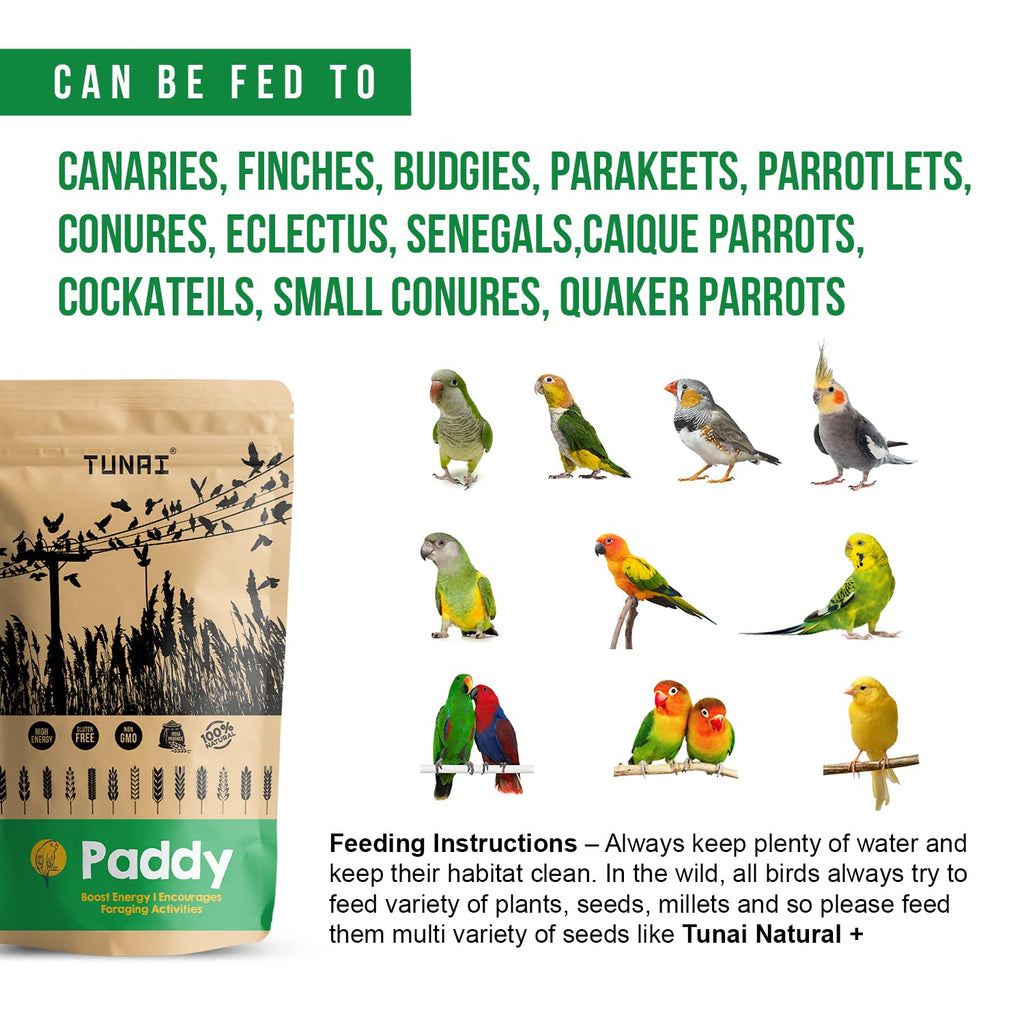 TUNAI Paddy Whole Grain Bird Feed |450G|Bird Food For Parakeets, Parrotlets, Conures, Eclectus, Senegals, Parrots, Cockatiels, Parrots, All Life Stages, Seeds