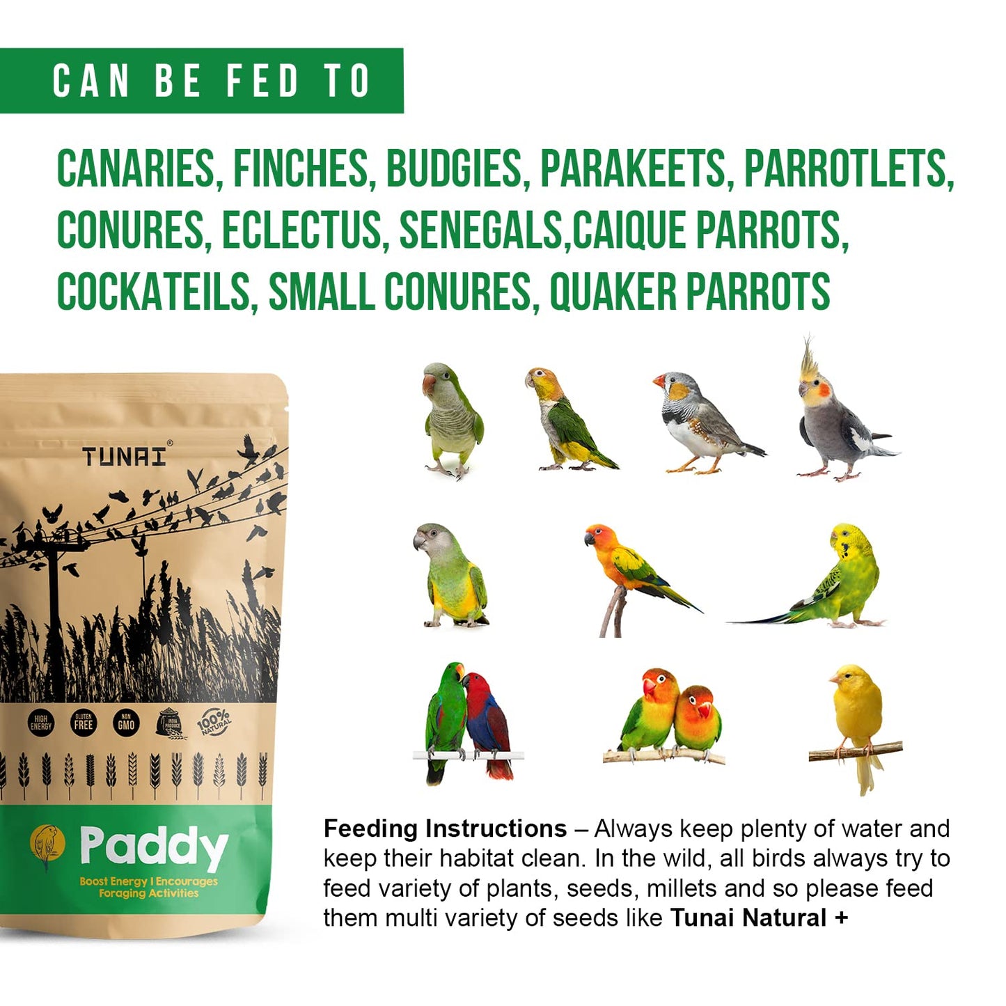 TUNAI Paddy Whole Grain Bird Feed |450G|Bird Food For Parakeets, Parrotlets, Conures, Eclectus, Senegals, Parrots, Cockatiels, Parrots, All Life Stages, Seeds