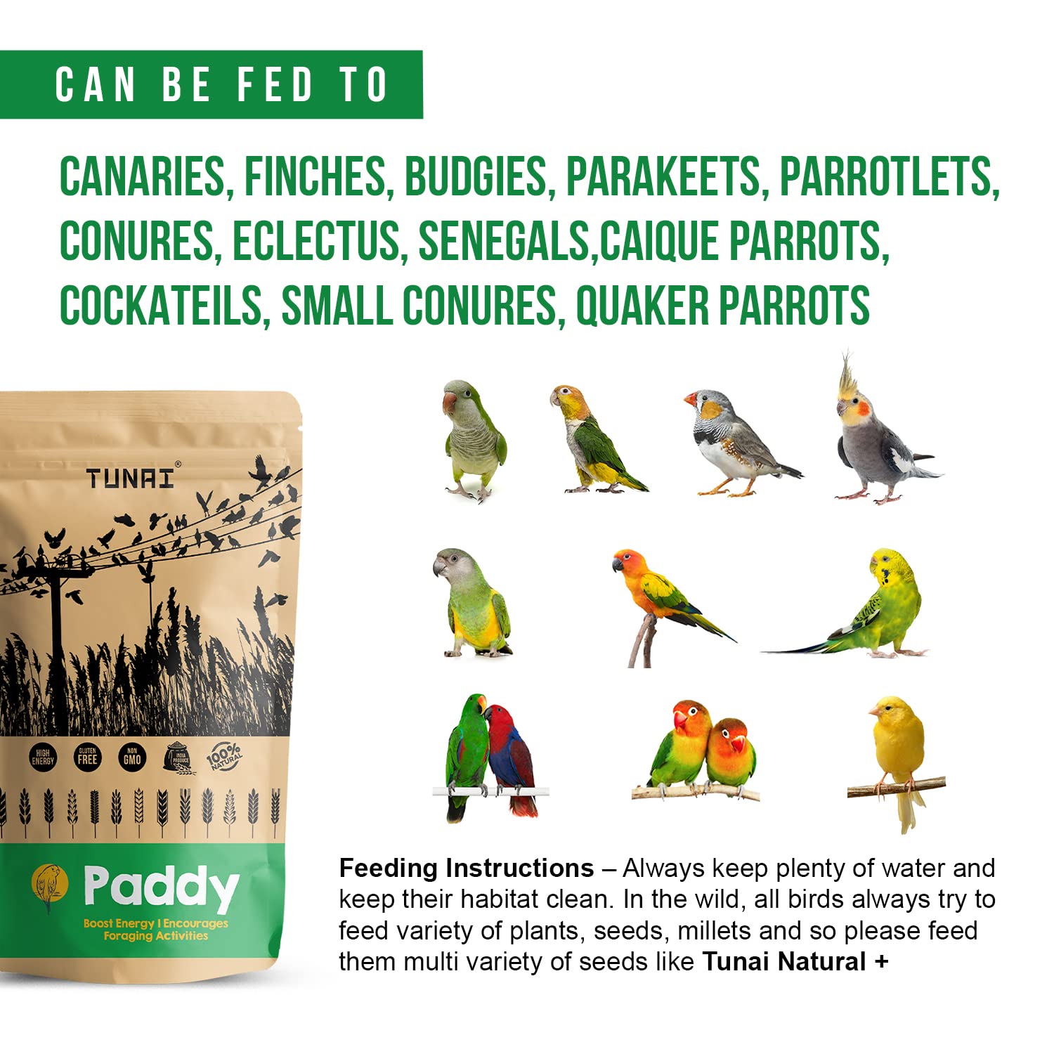 TUNAI Paddy Whole Grain Bird Feed |450G|Bird Food For Parakeets, Parrotlets, Conures, Eclectus, Senegals, Parrots, Cockatiels, Parrots, All Life Stages, Seeds