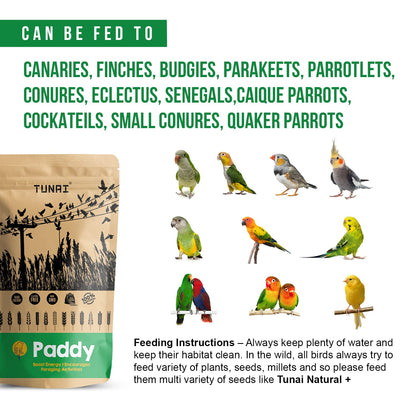 TUNAI Paddy Whole Grain Bird Feed |450G|Bird Food For Parakeets, Parrotlets, Conures, Eclectus, Senegals, Parrots, Cockatiels, Parrots, All Life Stages, Seeds