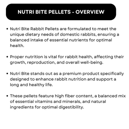 SF+ Nutri Bite Rabbit Pellets Food Food for Rabbits, Hamsters, Guinea Pig and White Rats | Daily Diet Added with Vitamins and Minerals (250gms, Pellets)