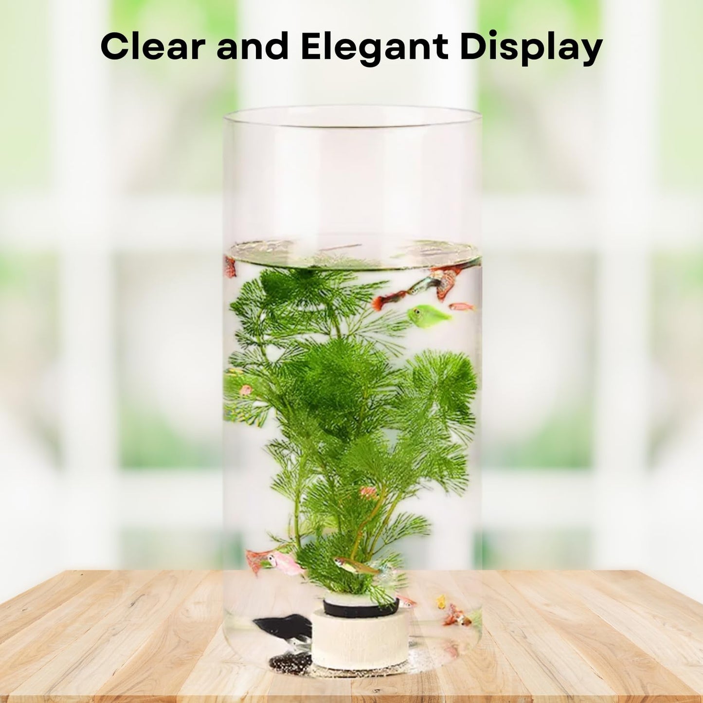 TUNAI 12-inch Cylindrical Fish Bowl for Small Fish, Plants | Optimum Fish Tank Choice for Office & Home Decor (White, Large)