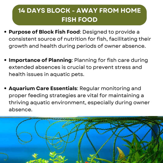 SF+ Star 14 Days Extended Holiday Fish Food, (Pack of 2) | Adequate Nourishment for Your Aquarium Fish