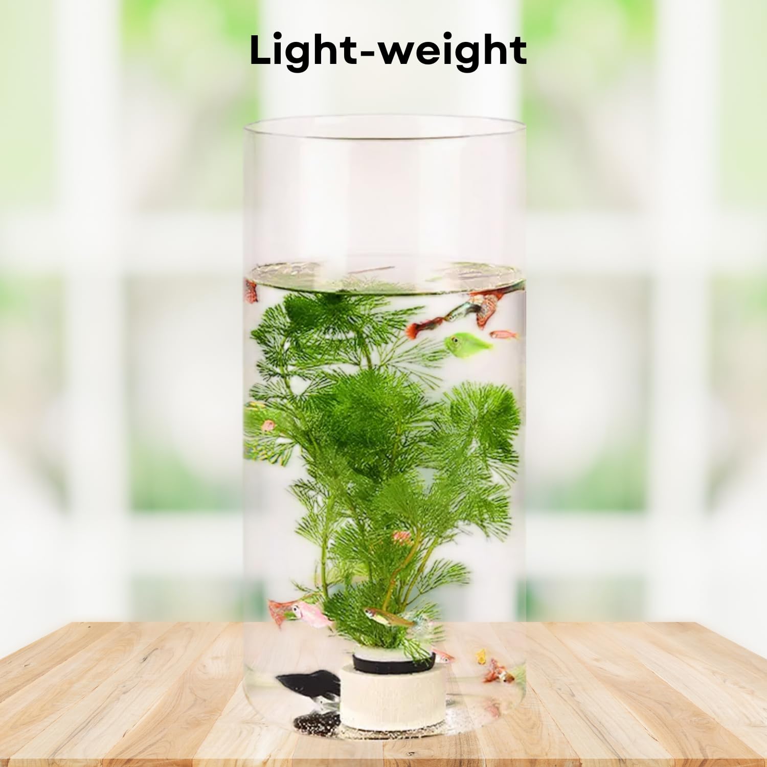 TUNAI 12-inch Cylindrical Fish Bowl for Small Fish, Plants | Optimum Fish Tank Choice for Office & Home Decor (White, Large)