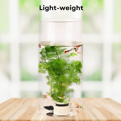 TUNAI 12-inch Cylindrical Fish Bowl for Small Fish, Plants | Optimum Fish Tank Choice for Office & Home Decor (White, Large)