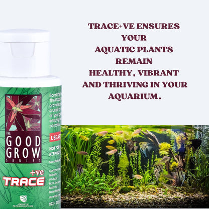 The Good Grow Series TRACE +ve | Boost Plant Health and Color | Promotes the Health, Growth, and Vibrant Coloration of your Aquatic Plants (50 ml)