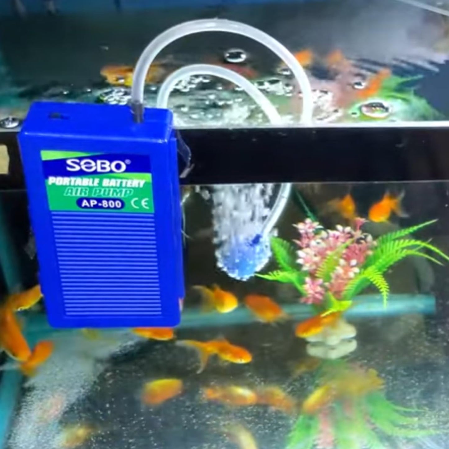 S0B0 AP-800 Portable Battery Air Pump for Aquarium Fish Tank | Ease and Quiet Operation | Ideal for Smaller Tanks | Power: DC 2 x 1.5V | F.Max: 2L/Min | Original from Tunai Store