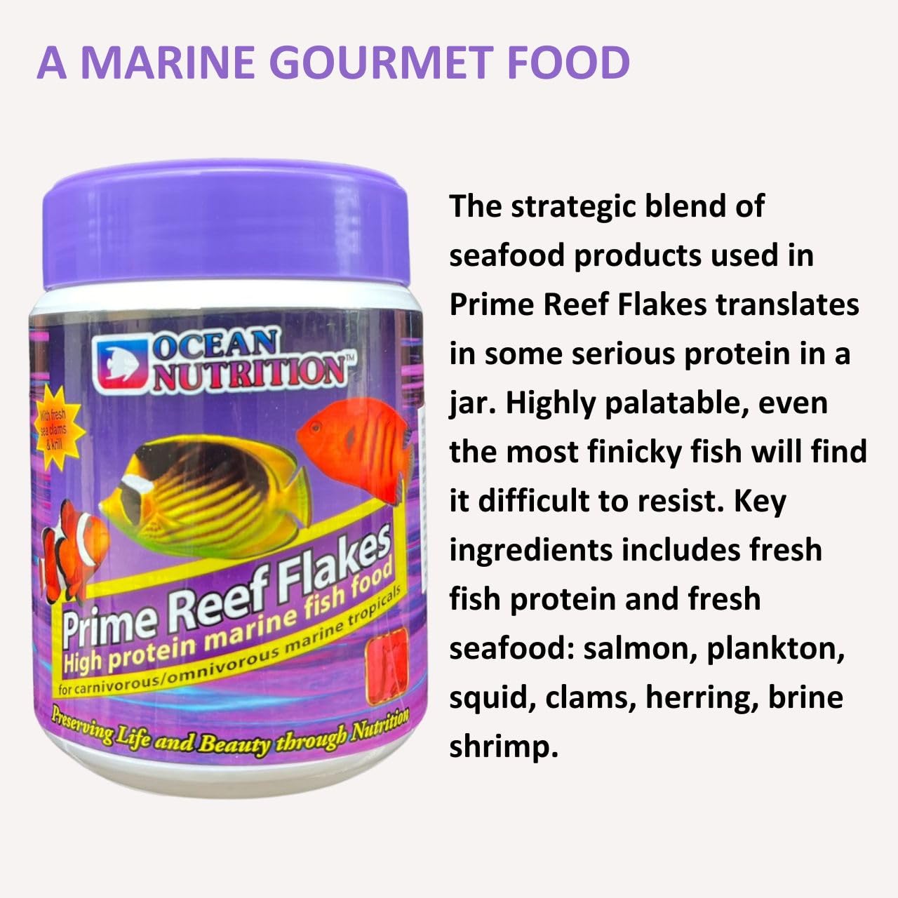 ON+ Prime Reef Flakes High Protein Marine Fish Food | 71g | Originally from TUNAI Store