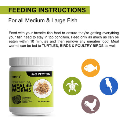 Tunai Freeze Dried Meal Worms with 56% Protein |40g| Fish Food for Arowana, Oscar, Red Parrot, Flower horn, Turtle, and Tortoise