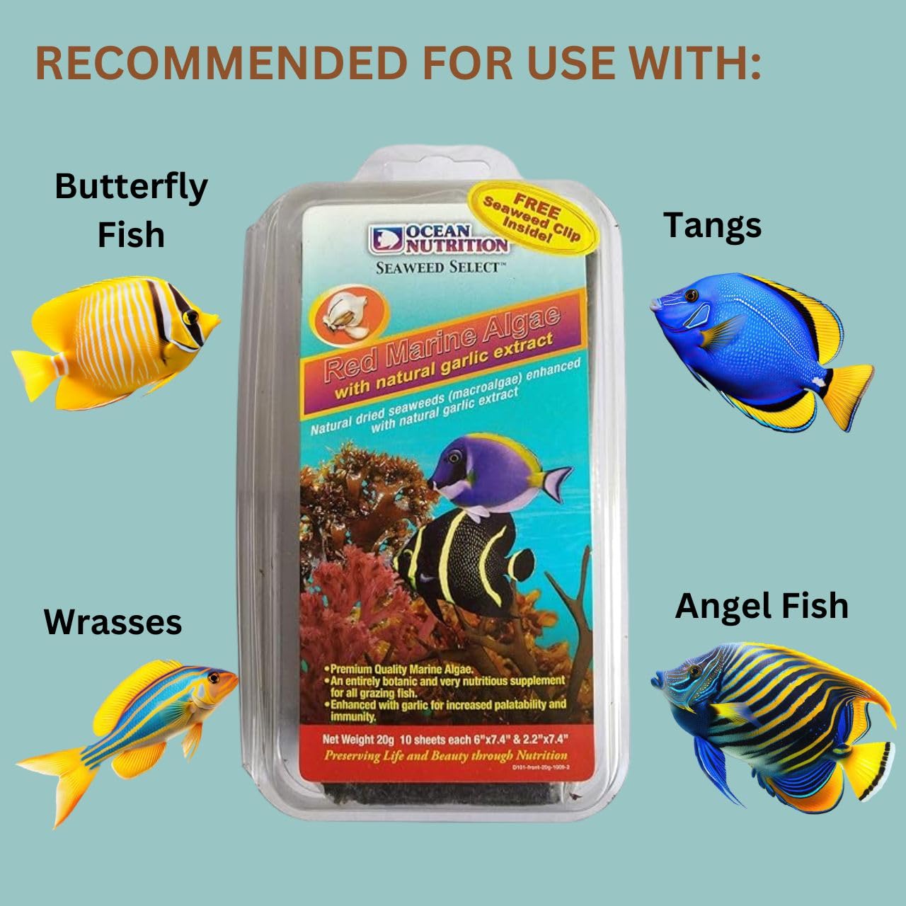 ON+ Red Marine Algae with Natural Garlic Extract Fish Food (Original from Tunai Store) Marine Algae (20gms, Red Marine Algae)