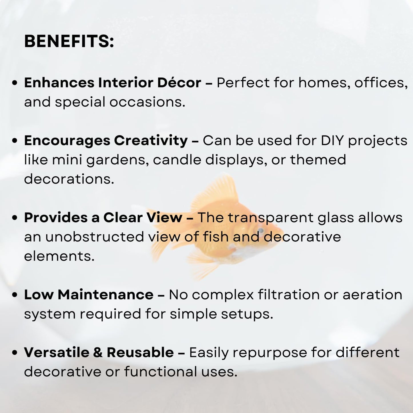 TUNAI 8-Inch Glass Fish Bowl with Out Neck Collar, Suitable for Small Fish, Plants | Optimum Fish Tank Choice for Office & Home Decor