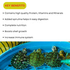 SF+ Turtle Food | Staple Food Sticks for All Turtle and Reptiles | Originally from TUNAI Store (50gms (Pack of 2), Food Sticks)