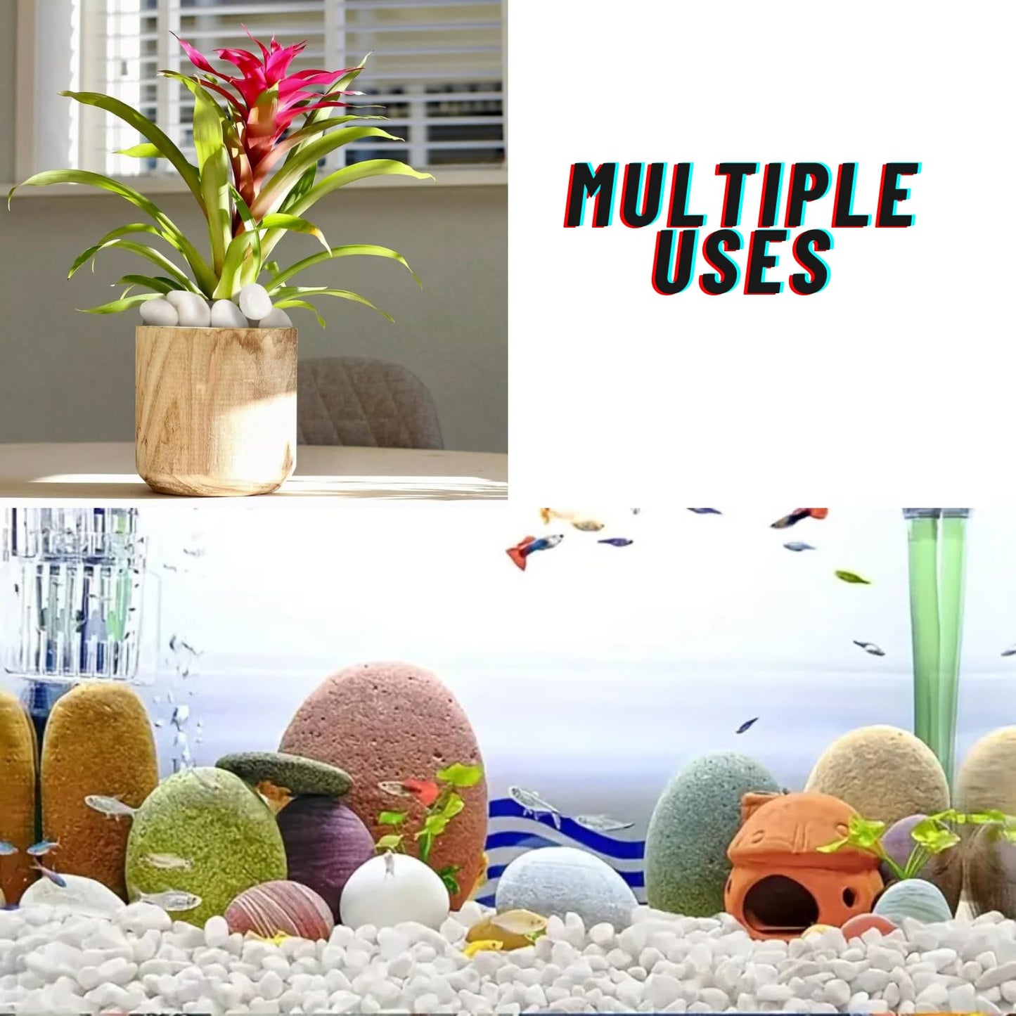 TUNAI Pebble Stones Substrate for Fish Tank, Aquarium, Terrarium, Paludarium (1KG) for Office and Home Decor, Plants and Other Purpose (White, Standard)