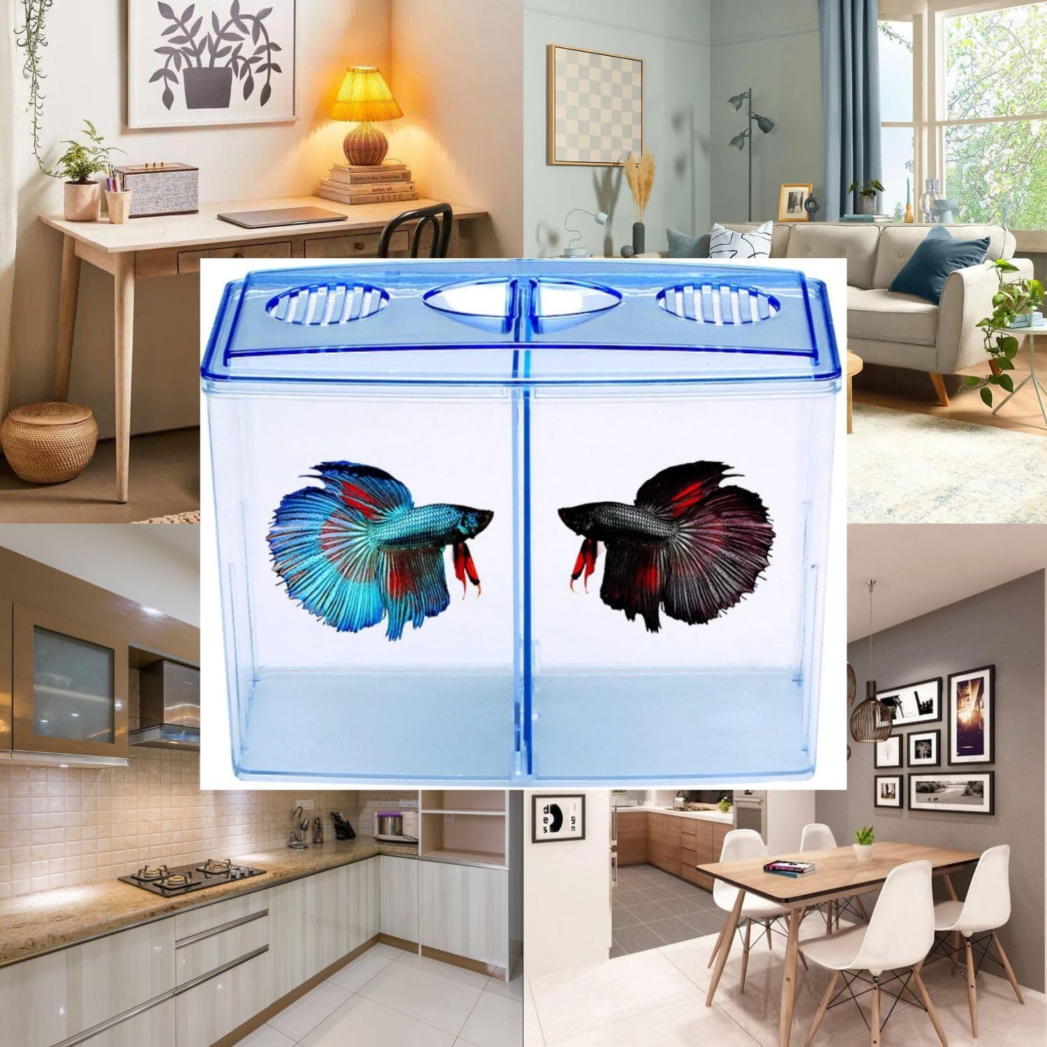 Dophin BT104 Aquarium Betta Fish Tank | Ideal for Betta, Small Fishes and Plant Keeping |Capacity - 1L Fish Tank | (Original from Tunai Store)