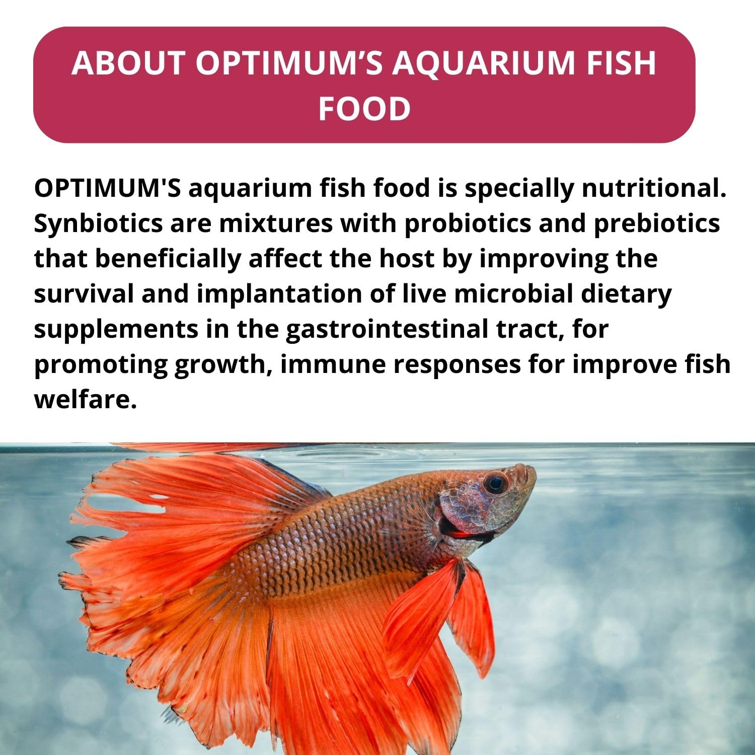 TUNAI Optimum Mini Pellets Fish Food (Original from Store) (1 Kg,Mini Pellets),All Life Stages